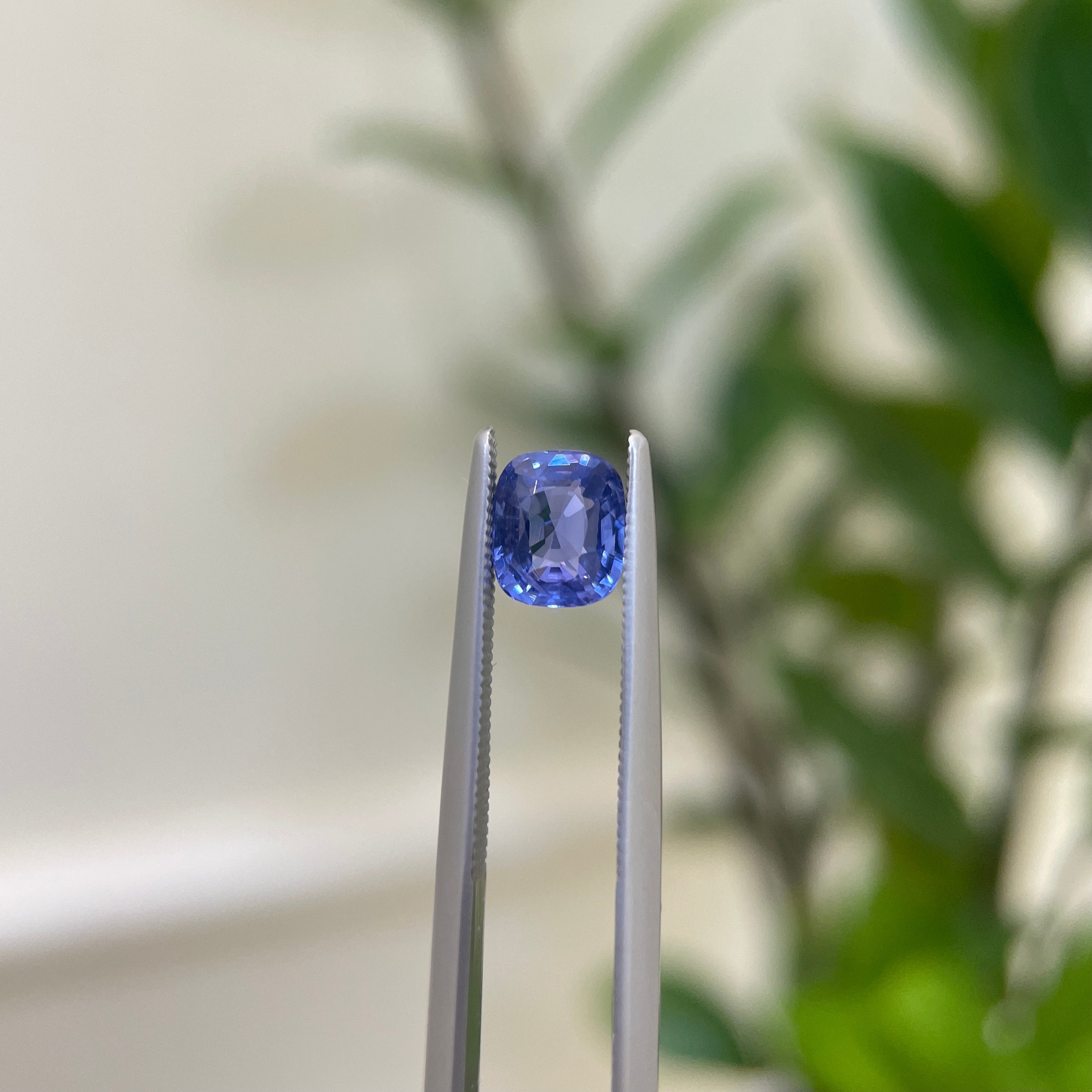 Blue Sapphire 1.59cts