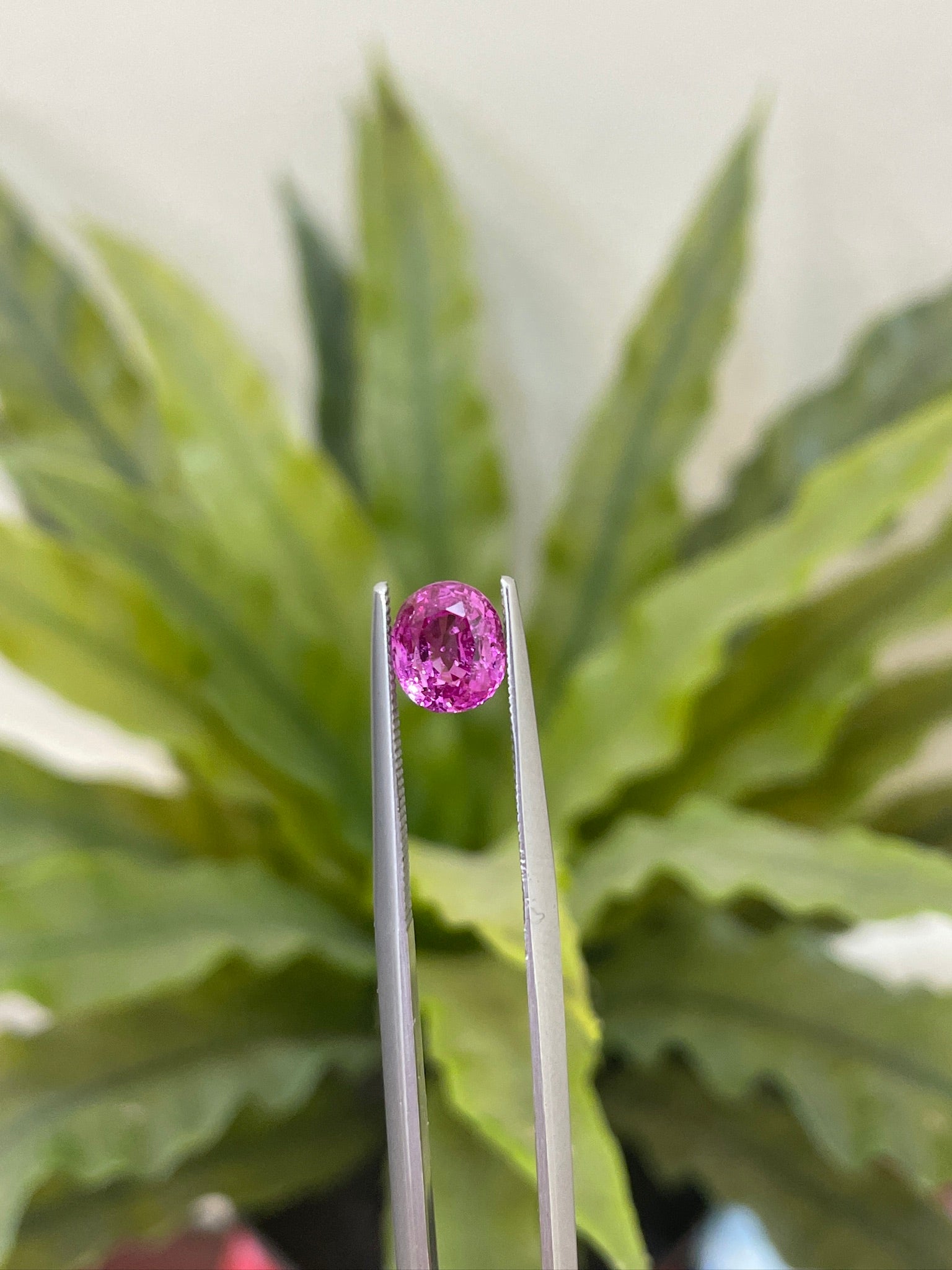 Pink Sapphire 1.68cts
