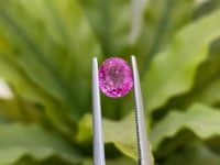 Pink Sapphire 1.68cts