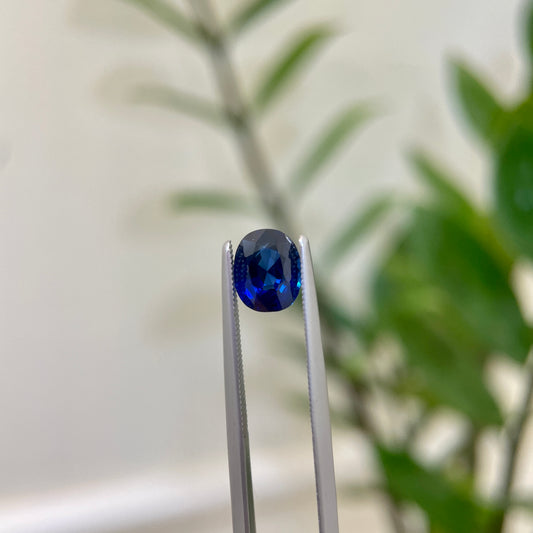 Royal Blue Sapphire 1.84cts